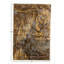 Rectangle Rectangle 5'5" X 8'4" Area Rug