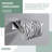 Wall Mounted Toilet Paper Holder-41679978
