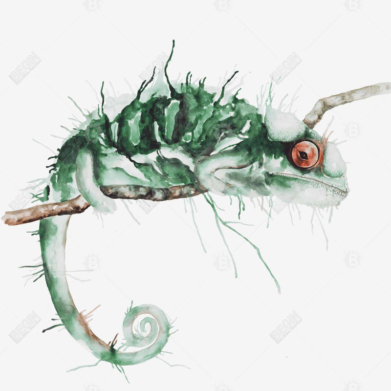 «Chameleon On The Lookout» sur toile