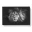 Lion With Piercing Eyes - Wrapped Canvas Print-56648444