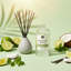 Recharge pour diffuseur de roseaux Danaiella's Candles