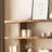Simple, novel and trendy bookcase-1368916150