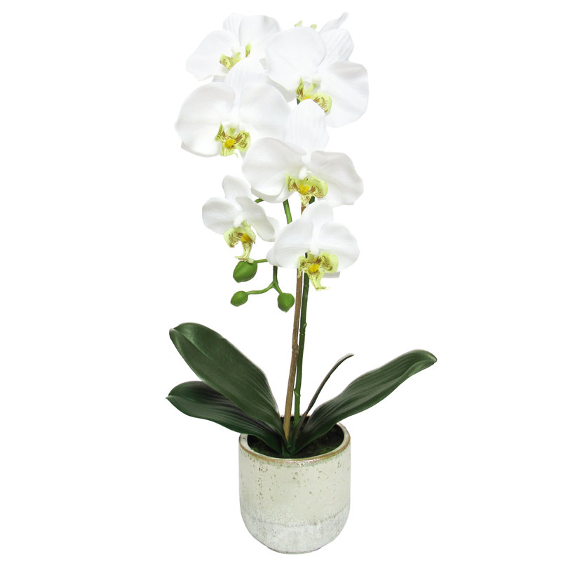 22 " Faux Orchid in Ceramic Pot