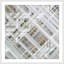 Interconnected Forces 1 Print-1695051092