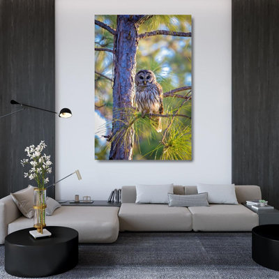 Art sur toile de Richardson, Larry: Une chouette rayée camouflée se perche parmi les branches d'un arbre pendant la journée