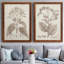 Antique sépia botanicals II, toile encadrée de qualité supérieure - prête à être accrochée-1525360193-1525360196