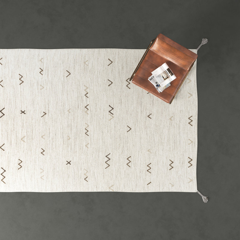 Bodie Southwestern Handwoven Wool Area Rug in Light Gray/Light Brown, Rectangle 9' x 13'