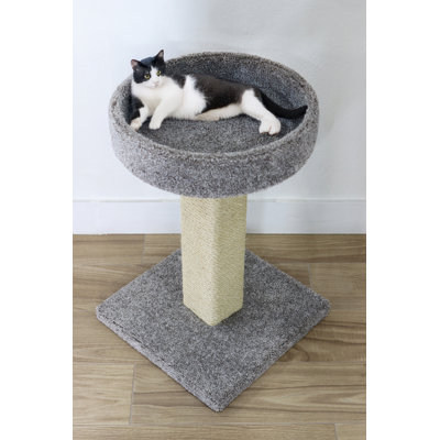 Arbre à chat Prestige