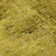 Premium Machine Washable Cerrito AMF554 Gold Rug