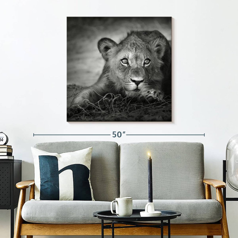 Brampt Young Lion Head