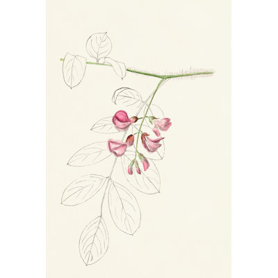 Leaf Sketches I - Graphic Art Print