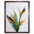 Brown Framed Paper selected