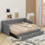 Lit de jour rembourré simple TG avec très grand lit avec tiroirs-79084131