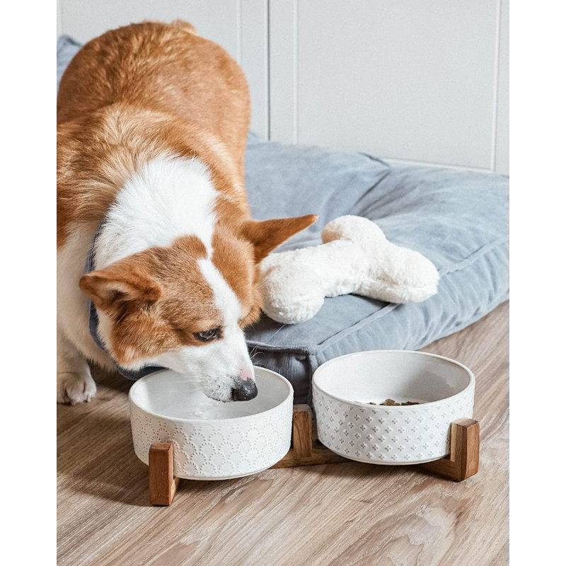 Ceramic Dog Bowls with Acacia Wood Stand for Small to Medium Pets
