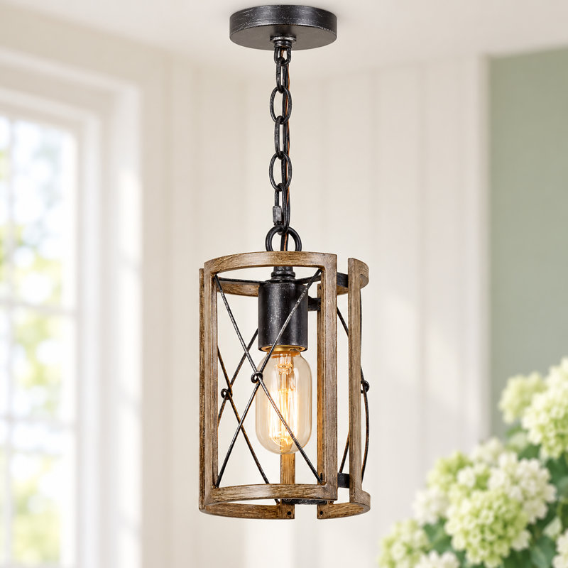 Luminaire suspendu cage unique à 1 lumière l 5,5 po x H 9 po