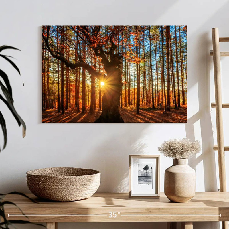 Forêt de montagne Alvord Rhodope, H 16 po x l 24 po