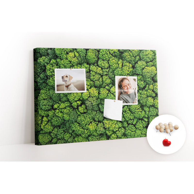 Wall Mounted cork board with print decorative wall message pin boards home office bulletin board ideas Green forest top view