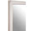 Jeb Metal Flat Wall Mirror