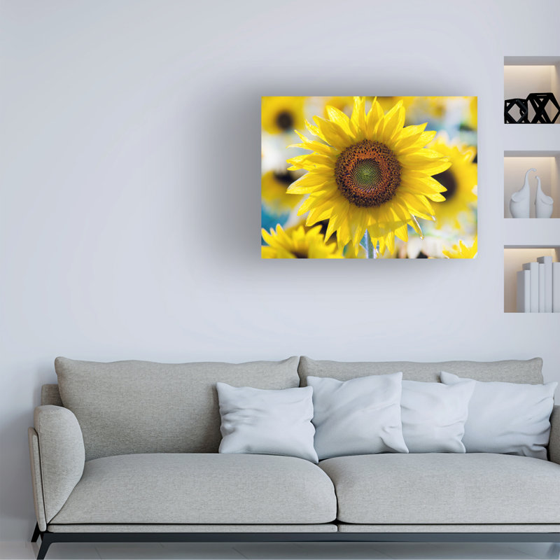 Modern & Contemporary, 18" H x 24" W x 2" D