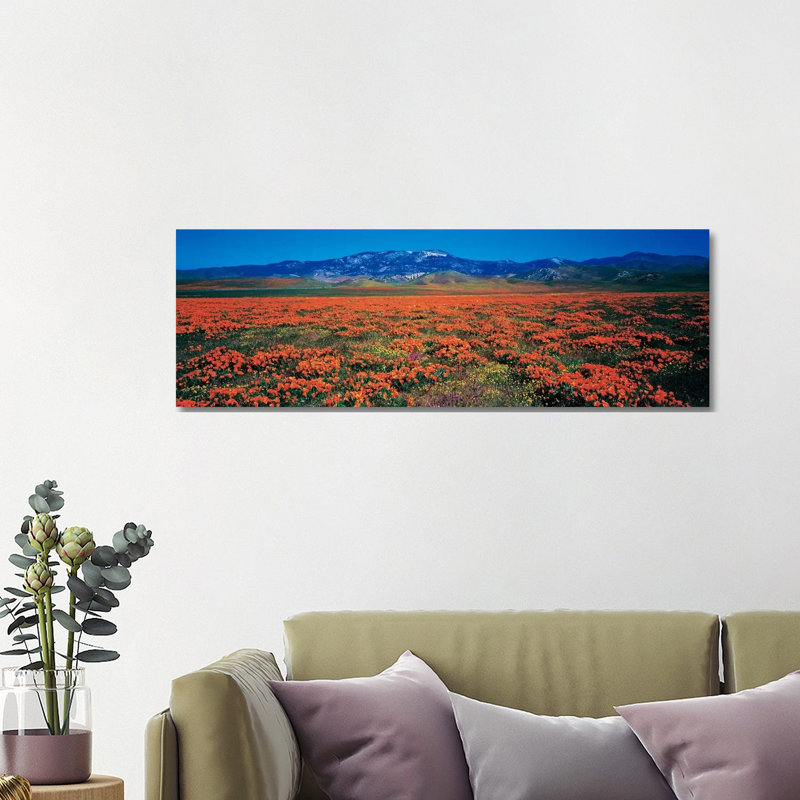 Antelope Valley California Poppy Reserve, Los Angeles County, California, USA - Wrapped Canvas Panoramic Print