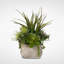 Faux Succulent Plant in Cement Planter