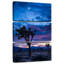 Masam Joshua Tree Park la nuit-108661802