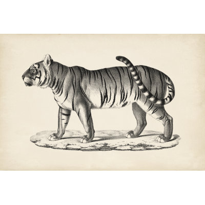 Brodtmann Male Tiger - Painting