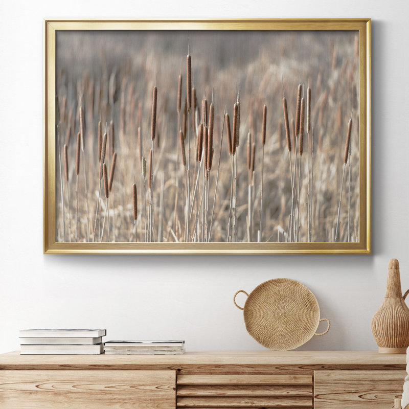 Summer Tails - Photographie avec cadre photo, Gold Framed Canvas, H 22,5 po x l 30,5 po x P 1,5 po