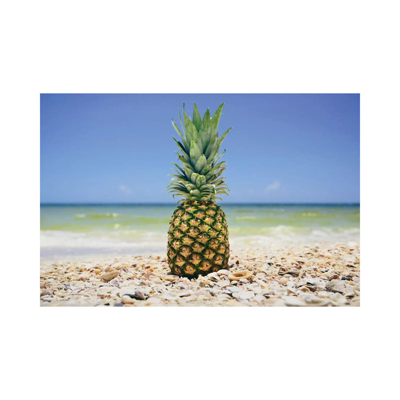 South Florida Pineapple II by Adam Mead - Wrapped Canvas Print, 20.32 cm H x 30.48 cm W