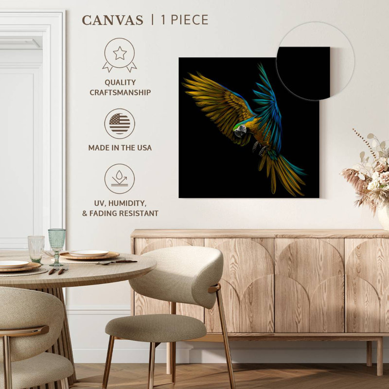 Crowle Wild Macaw, 16" H x 16" W