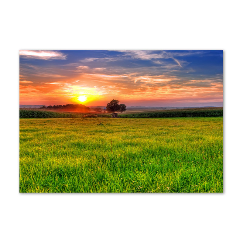 Sunset Meadow - Wrapped Canvas Print