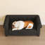 Lit rectangulaire pour petits et moyens chiens-1518705935