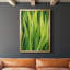 Blades of Grass II - peinture à cadre unique-1661991475-1661991474