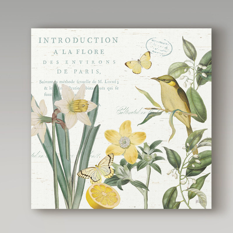 «Citron Curiosities III» par Katie pertiet - impression sur toile, H 35 po x l 35 po