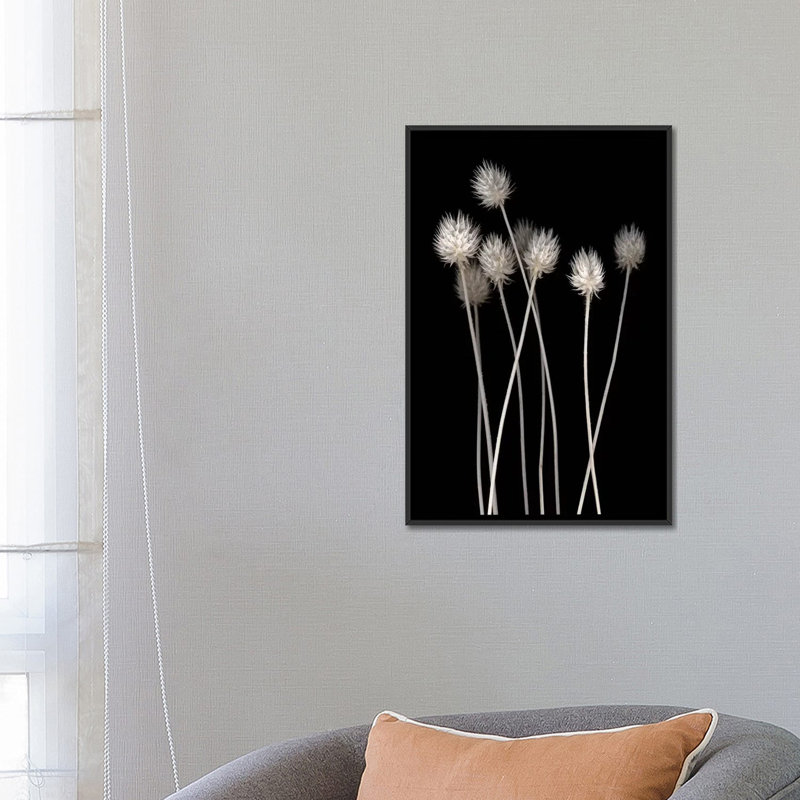 «Dried Up I», impression sur toile, H 26 po x l 18 po x P 1,5 po, Toile avec cadre noir, Pas de tapis
