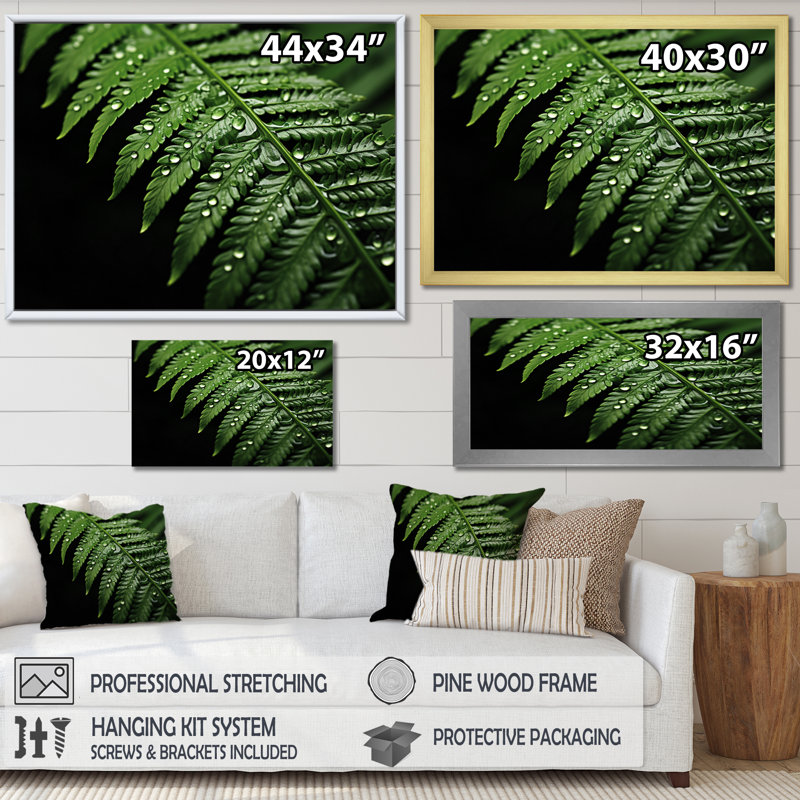 Ferns Serene Resilience - Imprimé, H 16 po x l 32 po x P 1 po, Cadre flottant noir