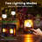 Flickering Flame Solar Lanterns Lights