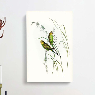 Warbling Grass-Parakeets by Elizabeth Gould - Wrapped Canvas
