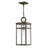 1 -Bulb 19" H Outdoor Hanging Lantern By Lisa McDennon-717187921