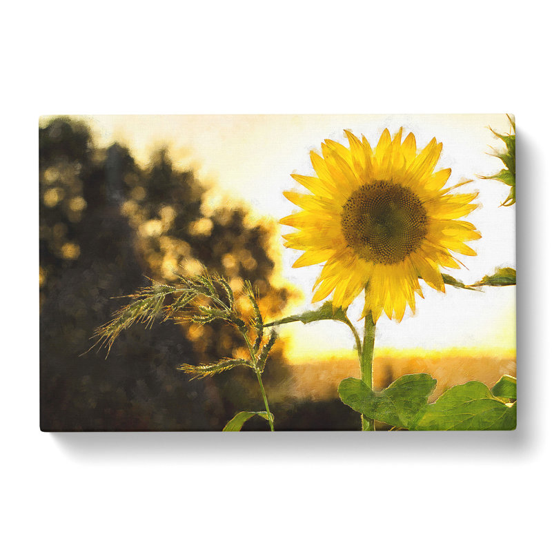 Sunflower Vol.2 - Wrapped Canvas Print, 35cm H x 60cm W x 3cm D