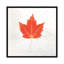« automne colors i », impression sur toile-20828987-73158581-73158587