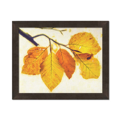Gravure d'automne II par Hal Halli. Impression sur papier - Montée et encadrée
