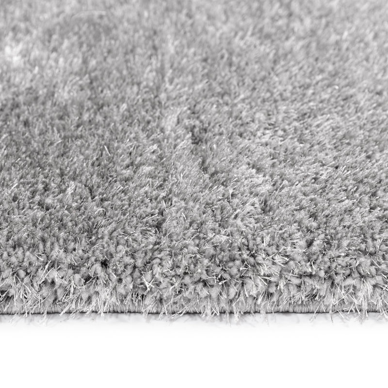 Ceianne Shag Indoor / Outdoor Area Rug, Rectangle 60 x 110 cm