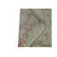 Wool Oriental Area Rug in Stone/Pink
