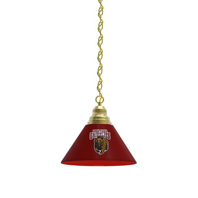 1 - Light Single Pendant