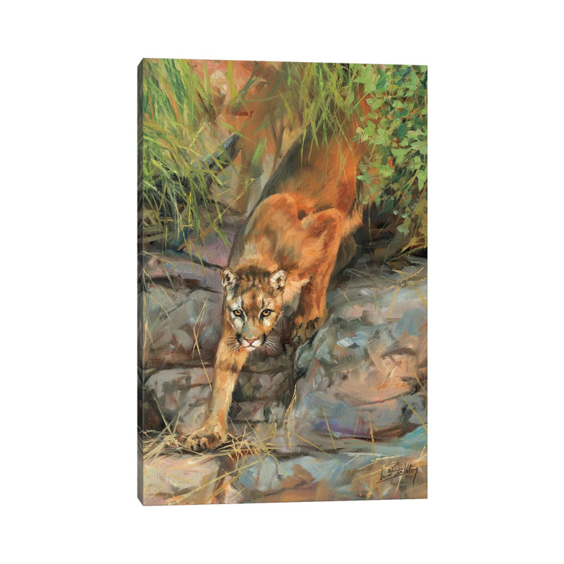 Mountain Lion II by David Stribbling - Gallery-Wrapped Canvas Giclée on Canvas, Canvas, 20.32 cm H x 30.48 cm W