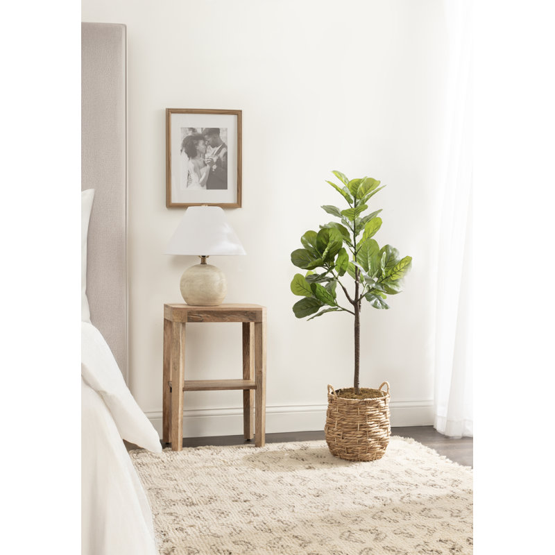  Figuier figuier avec panier Livia, H 47,24 po x l 19,69 po x P 15,75 po
