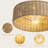 Rattan Caged Boho Fandelier Ceiling Fans with Light Remote Flush Mount for Bedroom, Gold