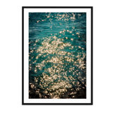 Sea Stars - Picture Frame Photograph on Paper
