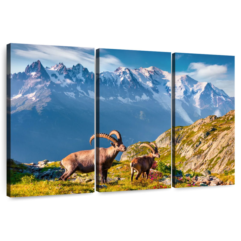 Alvord Mont Blanc Ibex, 28" H x 45" W
